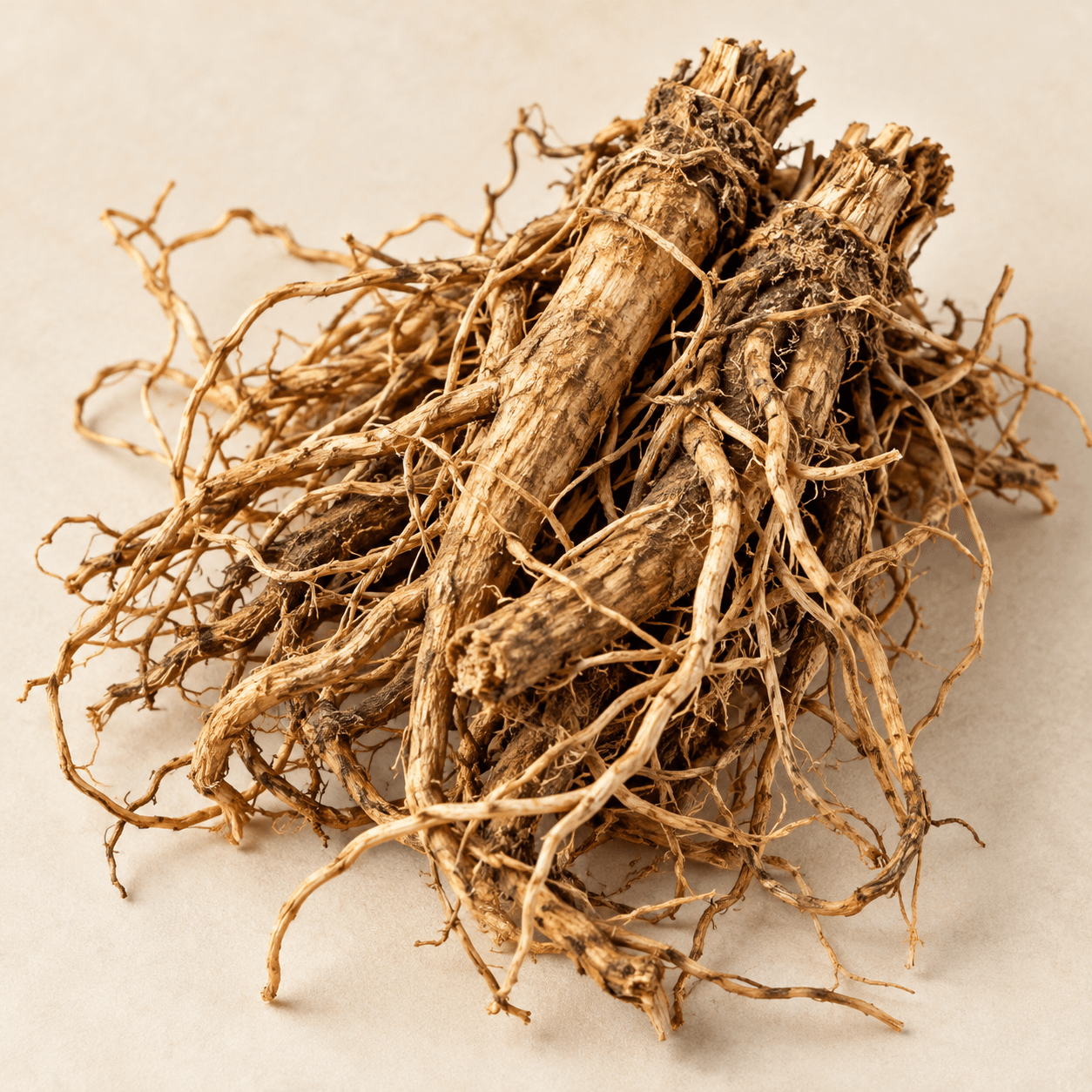 Illustration of valerian root extract
